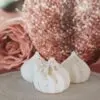 Lot 10 Fondants Parfumés + le Brûle Fondants – Image 8