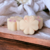 Lot 10 Fondants Parfumés + le Brûle Fondants – Image 3