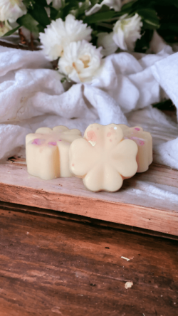 Lot 10 Fondants Parfumés + le Brûle Fondants – Image 3