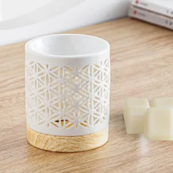 Lot 10 Fondants Parfumés + le Brûle Fondants – Image 11