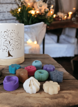 Lot 10 Fondants Parfumés + le Brûle Fondants