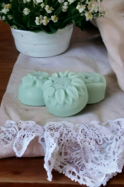 Lot 10 Fondants Parfumés + le Brûle Fondants – Image 7