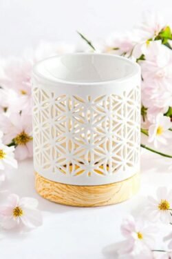 Coffret Fondants Parfumés + le Brûle Fondants – Image 13