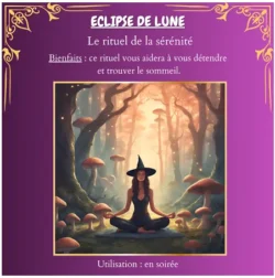 Coffret Secrets De 🎃Sorcières 🧙‍♀️,  5 Fondants Parfumés 🦇Avec ses Rituels 🦇 – Image 9