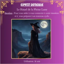Coffret Secrets De 🎃Sorcières 🧙‍♀️,  5 Fondants Parfumés 🦇Avec ses Rituels 🦇 – Image 7