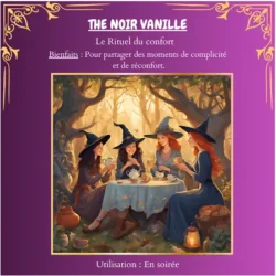 Coffret Secrets De 🎃Sorcières 🧙‍♀️,  5 Fondants Parfumés 🦇Avec ses Rituels 🦇 – Image 10