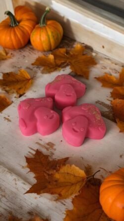 Coffret Charmes d'Automne, 5 Fondants Parfumés – Image 6