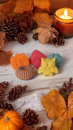 Coffret Charmes d'Automne, 5 Fondants Parfumés – Image 2