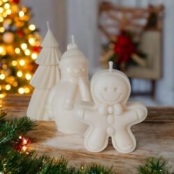 Collection Noël 🎄
