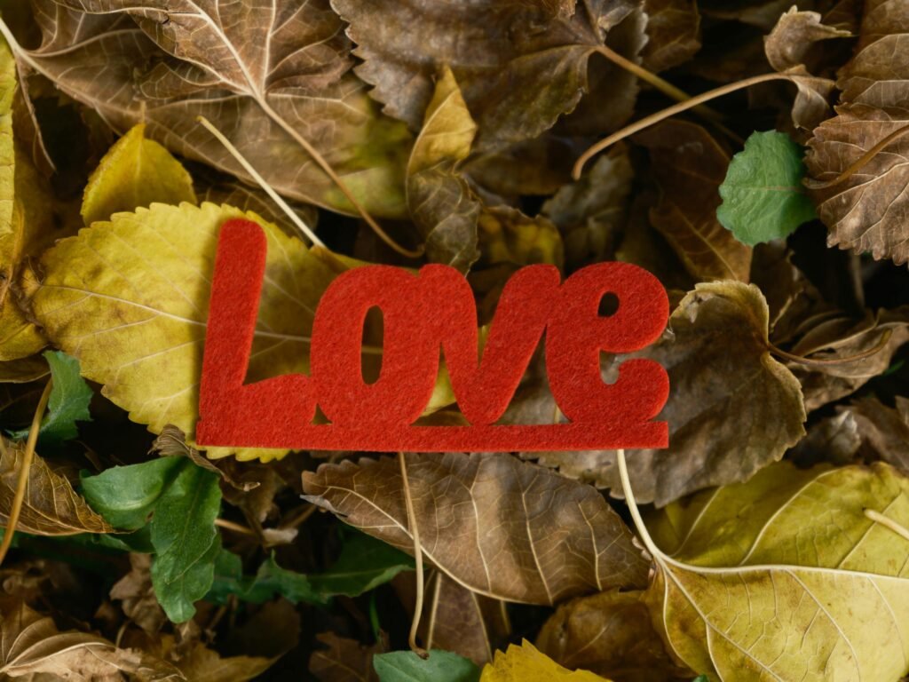 Red felt 'Love' sign on autumn leaves background, symbolizing romance.