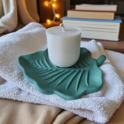 Recharge de cire végétale – Bougie Noya 🌰