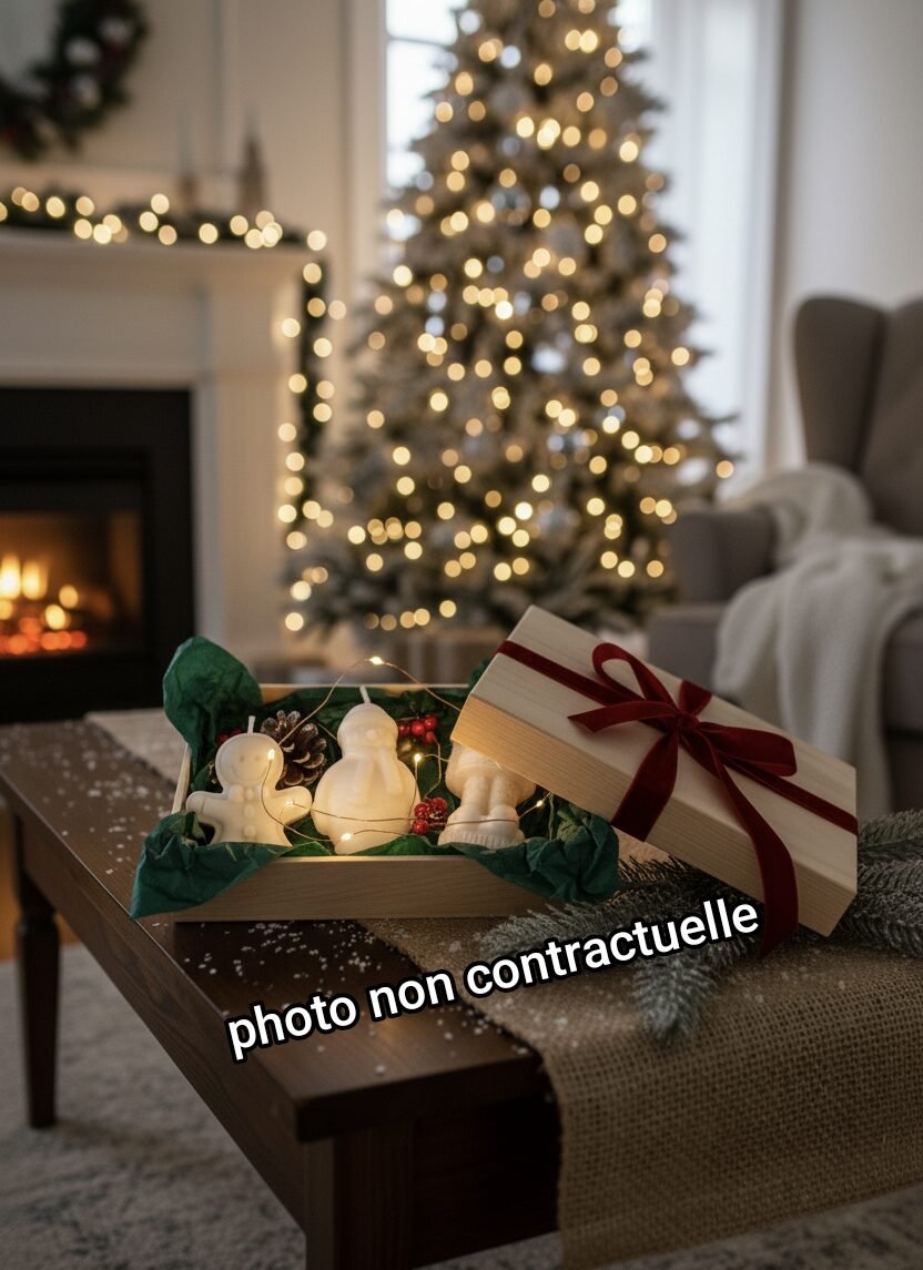 Coffret Trilogie de Noël – L’Atelier Enchanté ✨